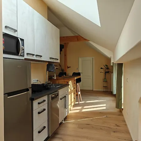 Wellness-apartment Mit Eigener Sauna Und Whirlpool - Fuer Kurzentschlossene Großharthau